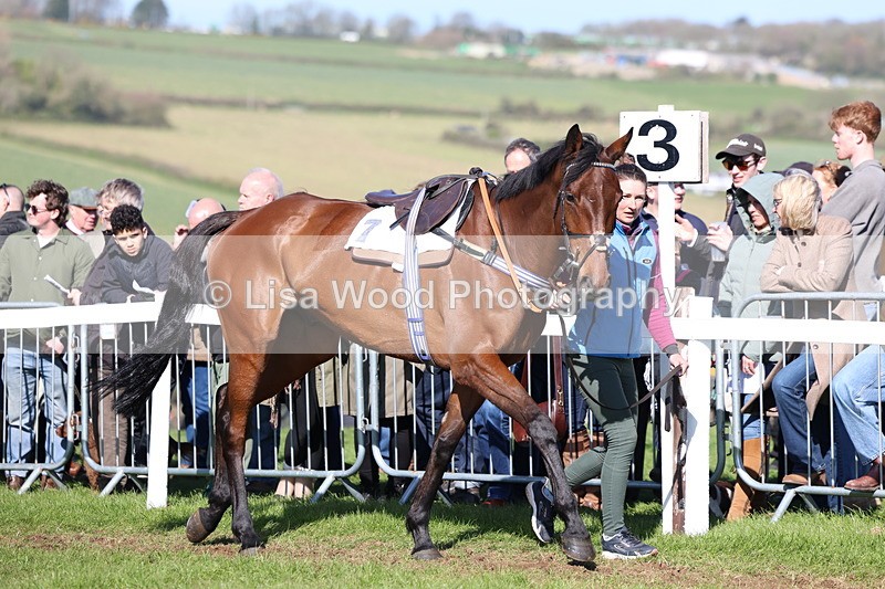 3E7A5583 - Race 6: Maiden (NWFAA)