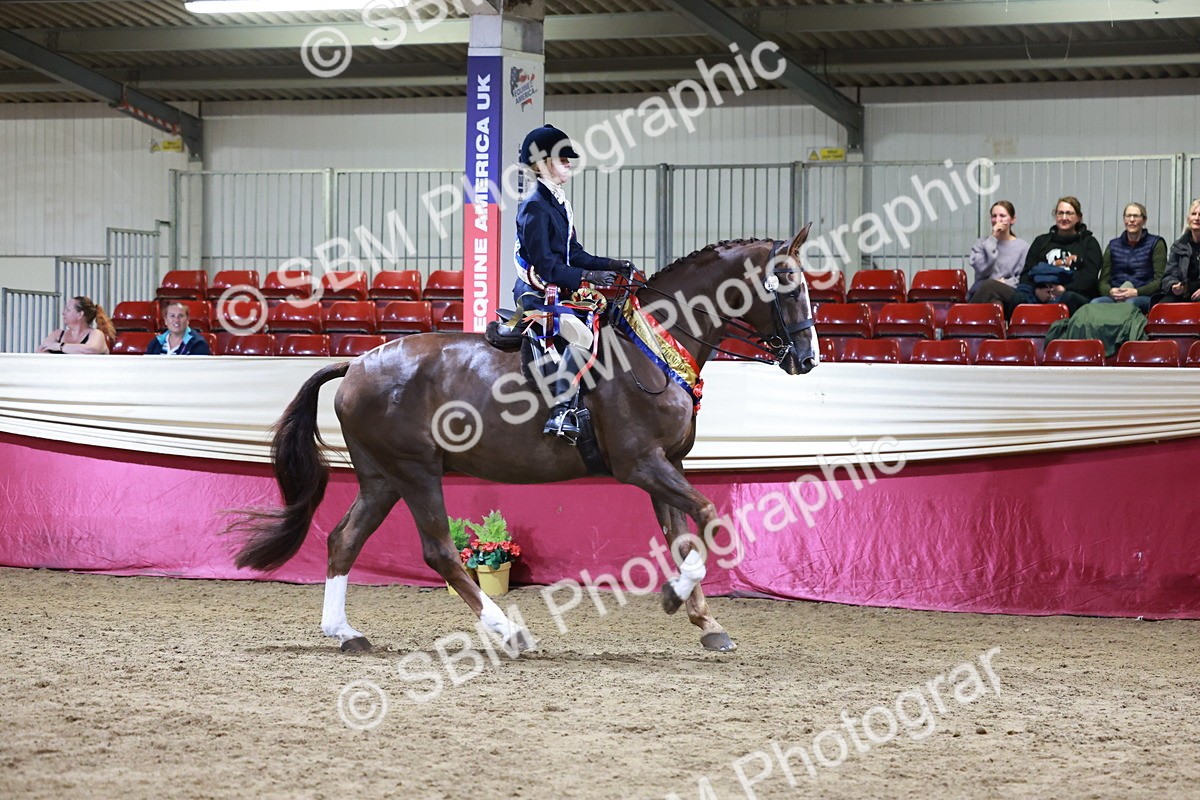 SBM_20720 - Class J - Foreign Breeds Champ