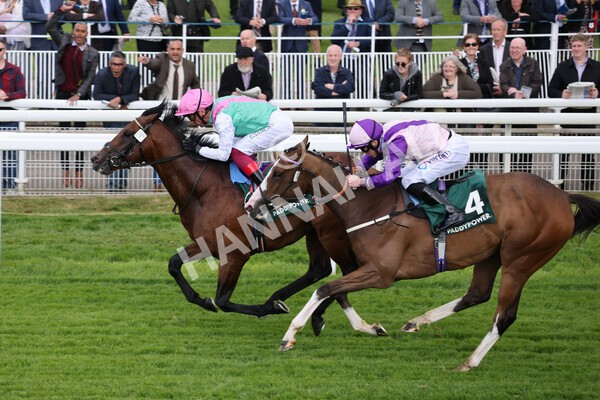 yr11052022r5-22 - Race 5 4.10pm Paddy Power 'Here For The Craic' Stakes
