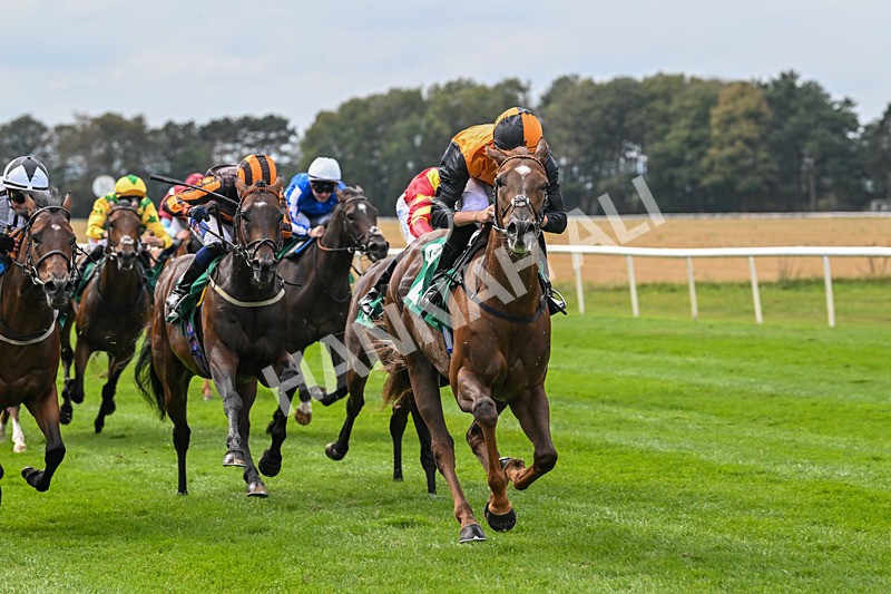 060925-Race 2-Dazzling Haze-4658 - Race 2