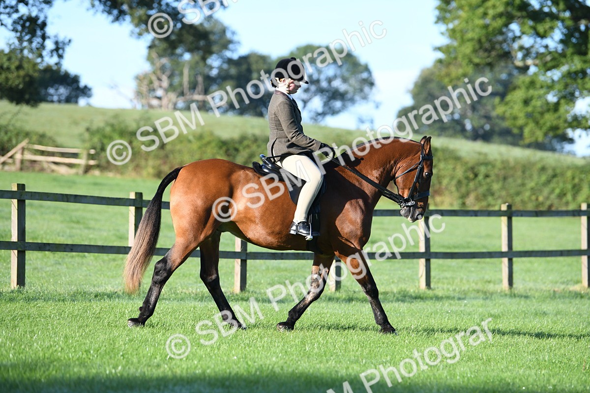 SBM_33962 - S16 - Condition & Turnout - Ridden