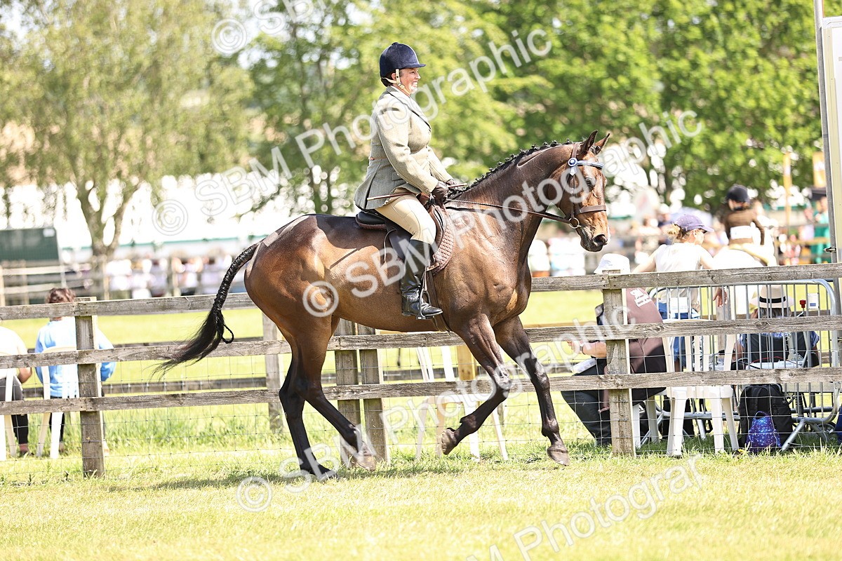 SBM_14849 - Class 78 - LIHS BSHA Open Racehorse & Show Horse