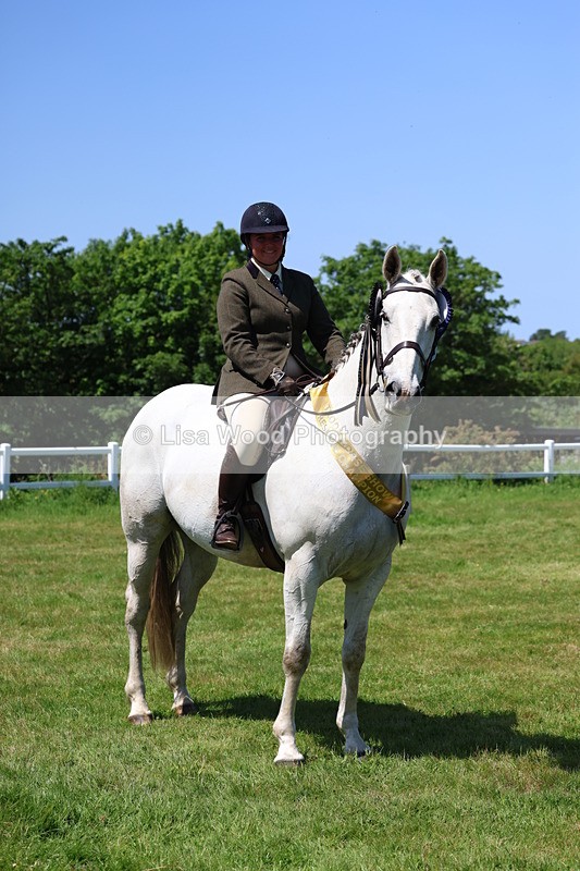 3E7A8132 - Working Hunter Championship