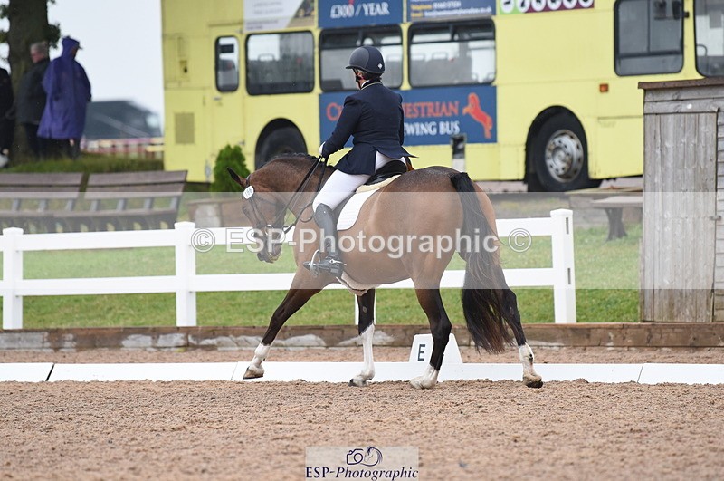 230708A-130608-01850 - Prelim 7