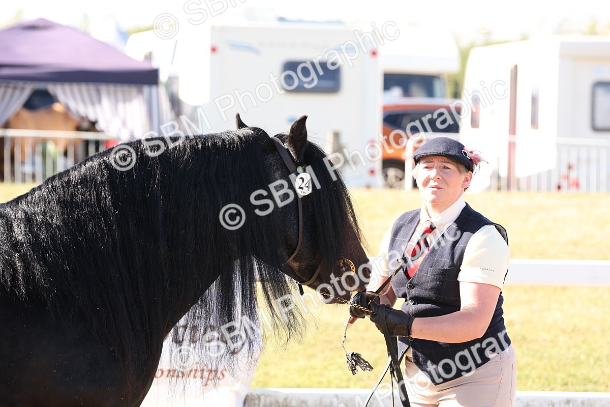SBM_12924 - Class 206 - IH Non Show Type Pony