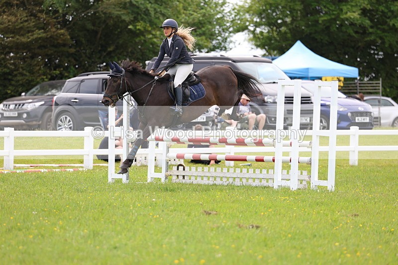 3E7A1714 - Class 13: Senior British Novice/90cm open