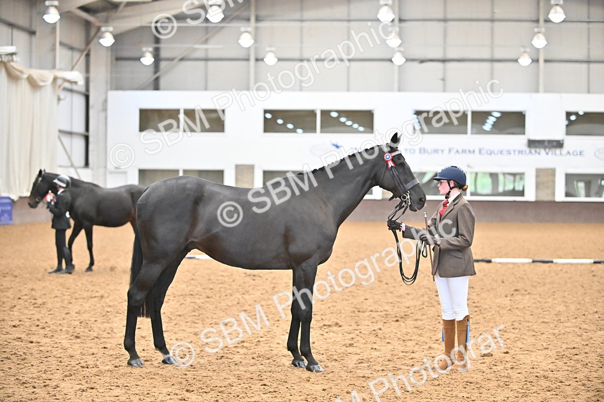 SBM_000767 - Class 16 - In Hand Showing Supreme Championships