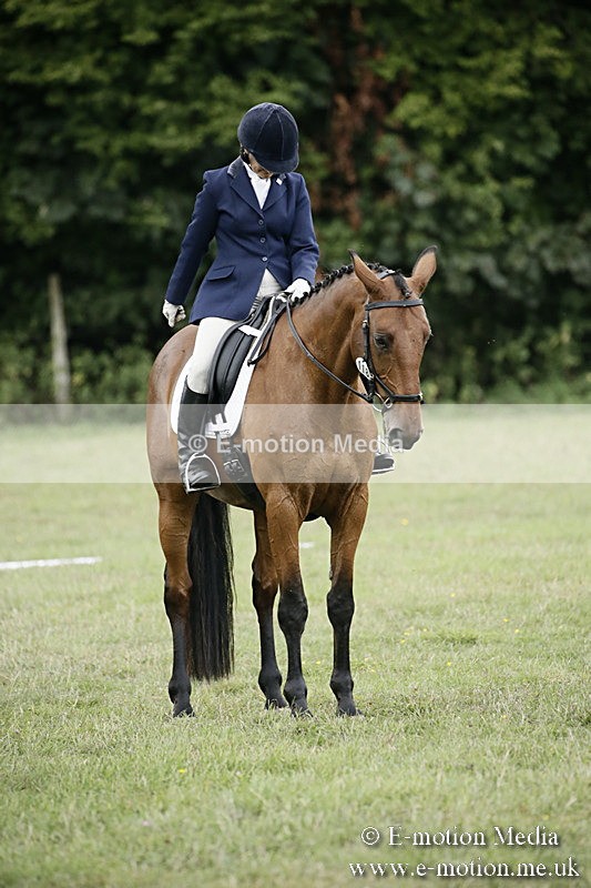 BVR090918 336 - BVRC Dressage and Show Jumping 09/09/18