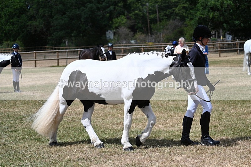 WJ7_1737 - Class 4 Prettiest Mare up to 14.2hh in hand
