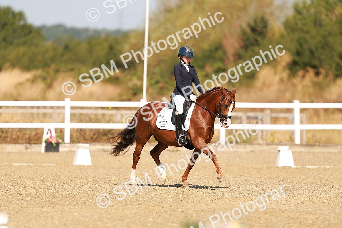 SBM_016821 - Class 9 - N5 Bronze 9.30.10.19