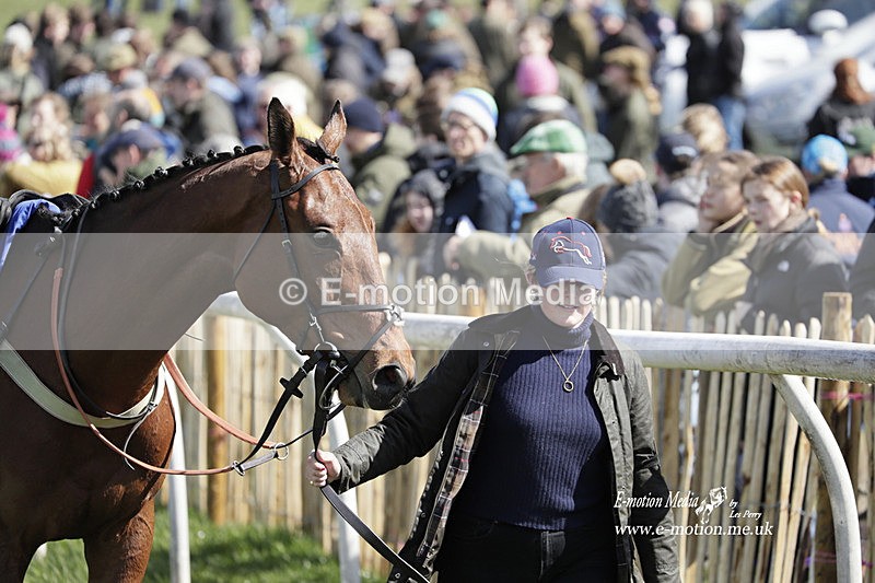 PtP 100423 482 - Old Berkshire Point-to-Point Lockinge 10/04/23