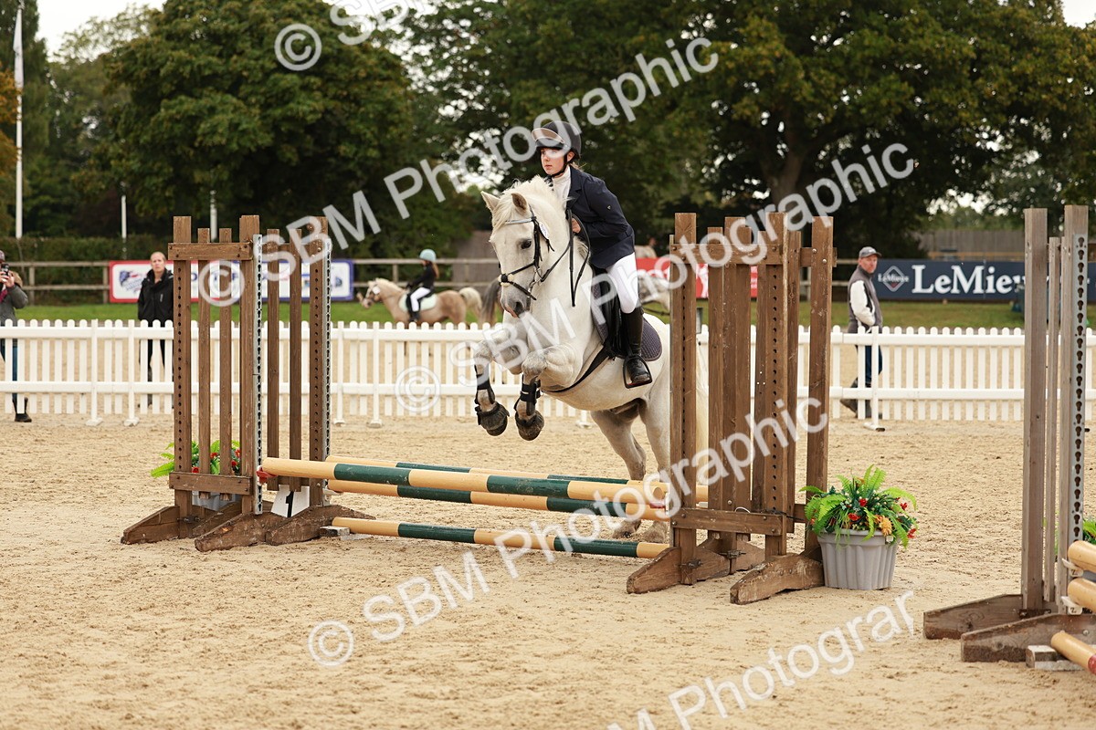 SBM_57890 - J11 - Junior Pony 50cm Championship