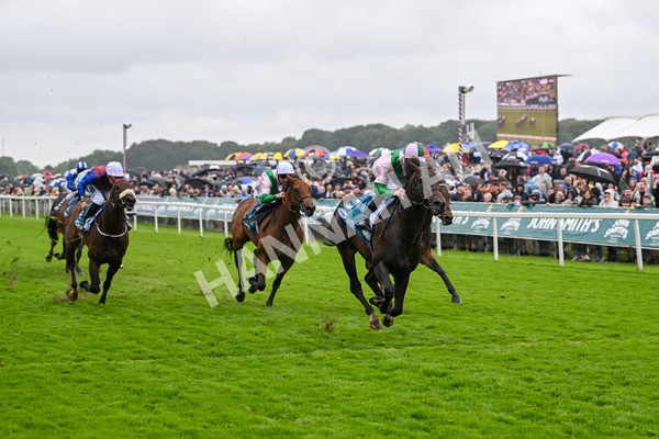 130724-Race 2-Starlust-7083 - Race 2 2.35pm John Smith's City Walls Stakes