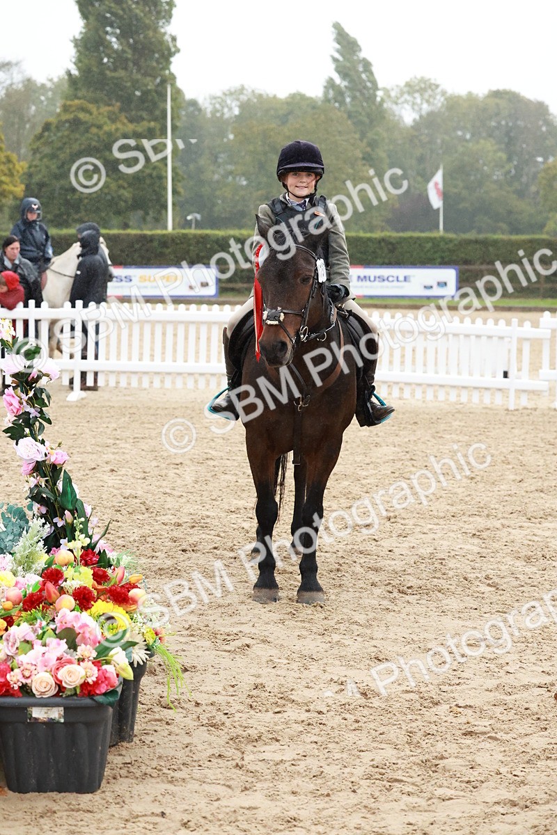 SBM_73630 - Supreme Championship Junior Pony 60cm & 65cm