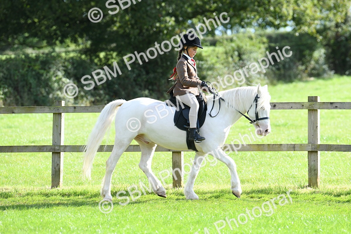 SBM_50254 - S21 - Novice & Newcomers 1st Ridden Pony