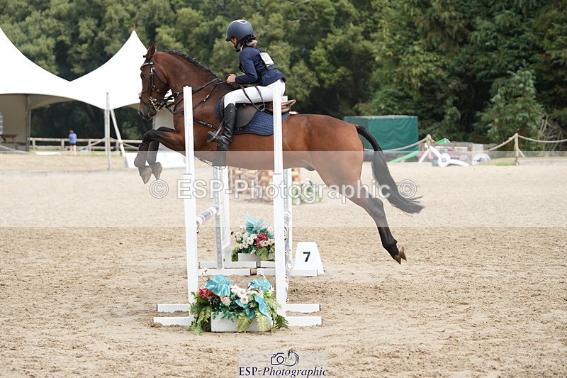 250824A-122722-35984 - 2035-Scarlet.Rosedale-Leith.Fandango