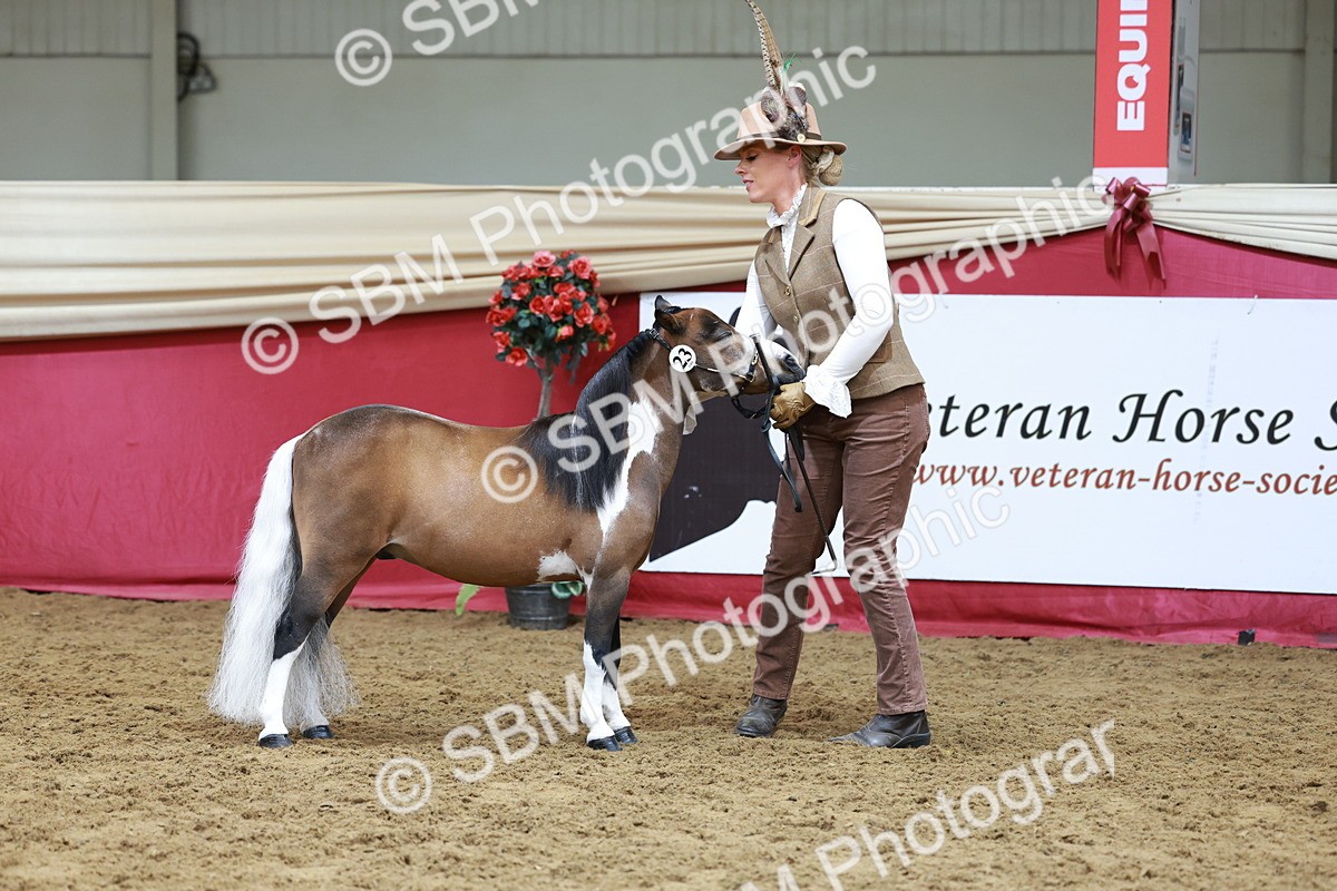 SBM_15735 - Class 110 - IH  Minature Horse