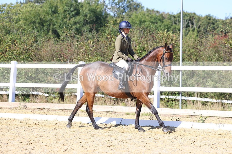 3E7A5713 - Class 10: Riding Horse