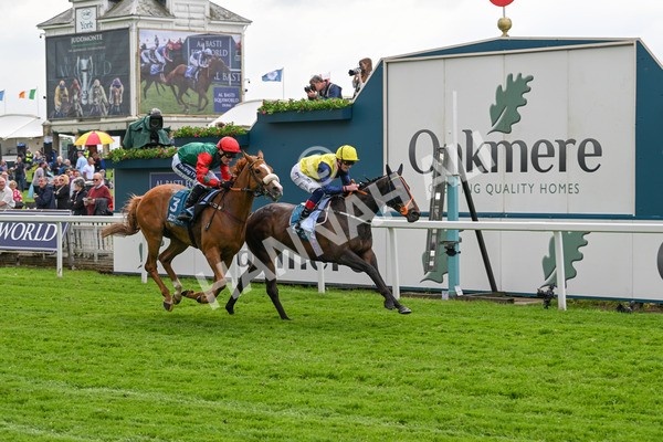160524-Race 2-Point Lynas-5444 - Race 2 2.45pm Oakmere Homes Hambleton Handicap