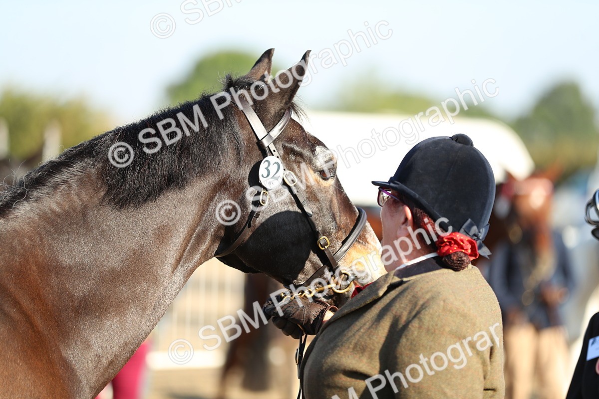 SBM_00021 - Class 40 Best Turned Out IH