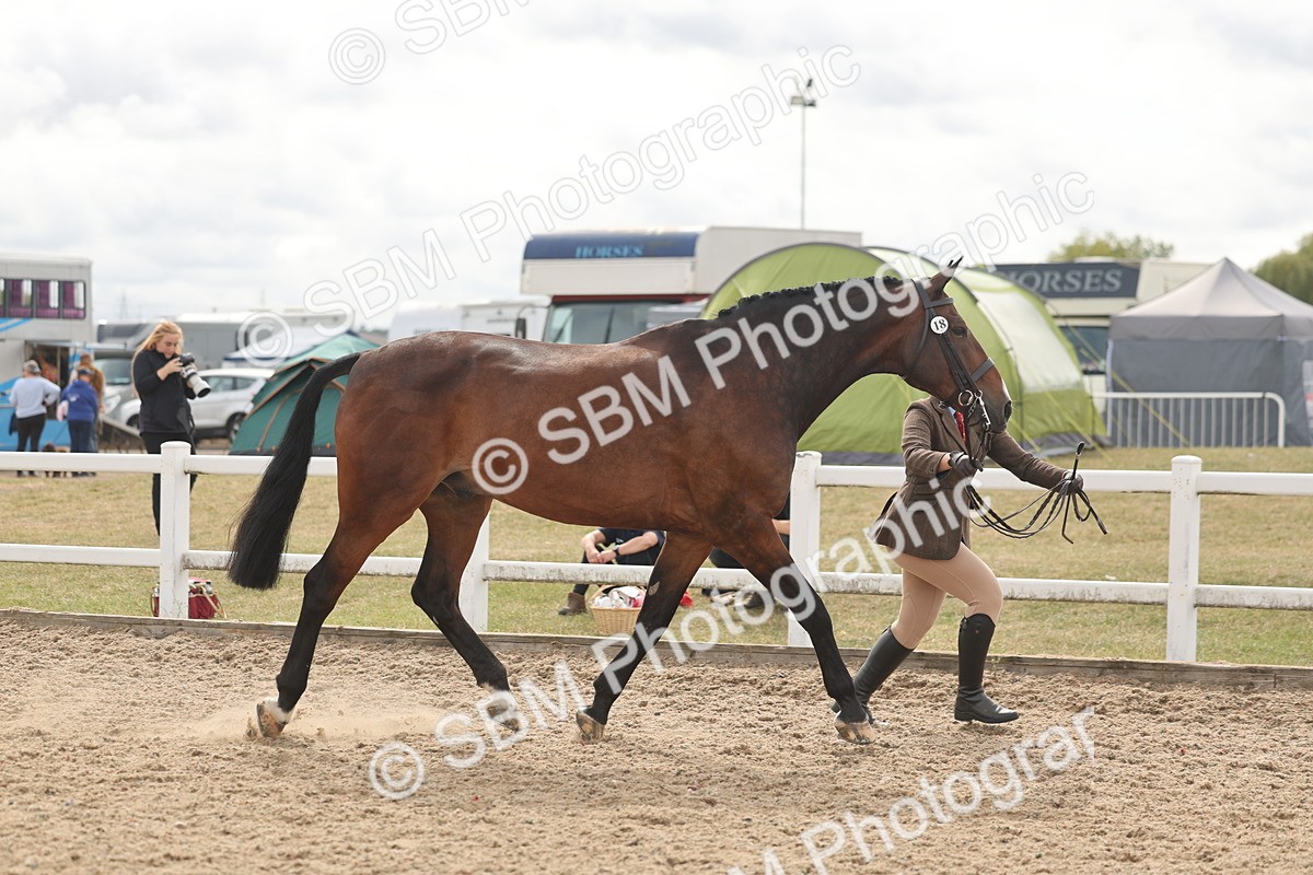 SBM_04977 - Class 20 - IH Veteran