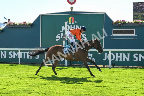 120725-Race 6-Terrorise-6123 - Race 6 4.45pm John Smith's Stayers' Handicap