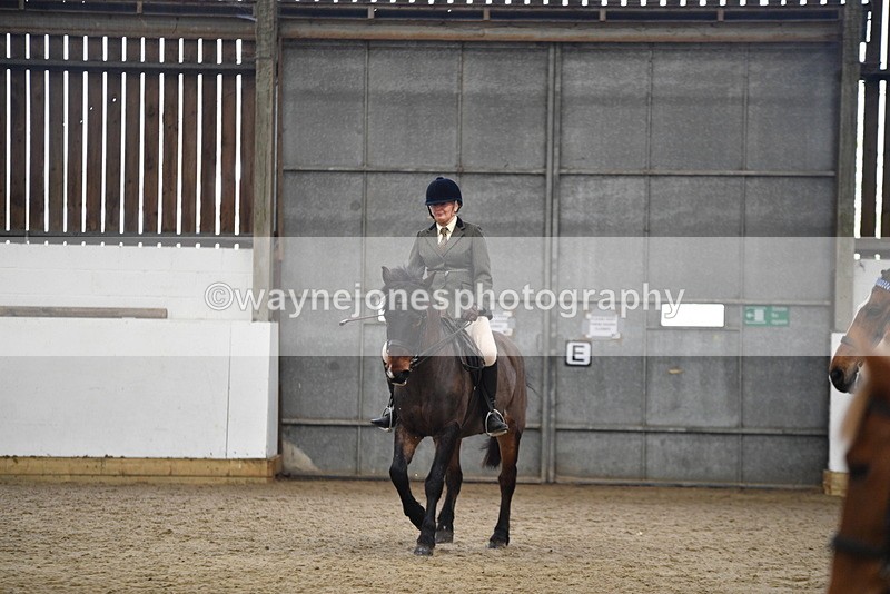 WJ5_6177 - Class 9 Ridden Veteran