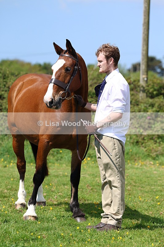 3E7A0389 - Class 19: Best Coloured in Hand