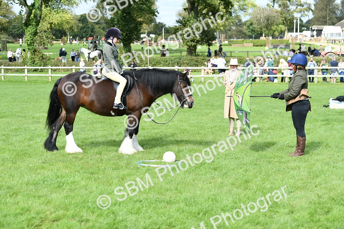 SBM_46925 - S12 - Family Horse & Pony