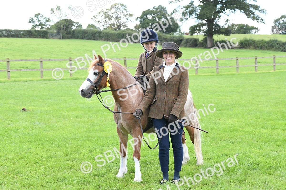SBM_42690 - S20 - Lead Rein Mountain & Moorland Pony