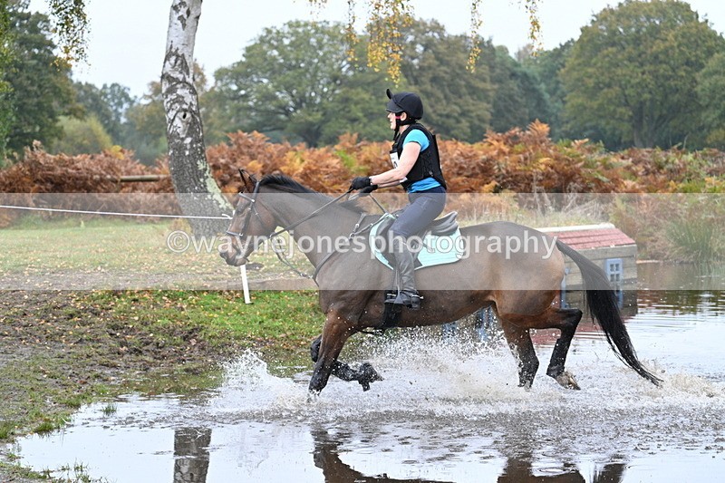WJ7_0907 - 80cm Cam 2 Water Time 11:08 to 11:28