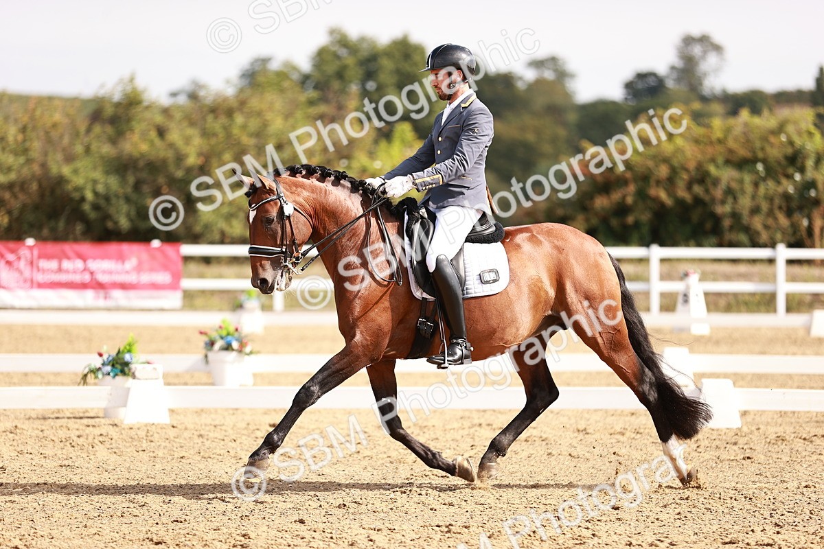 SBM_017599 - Class 11 - Advanced Medium 6
