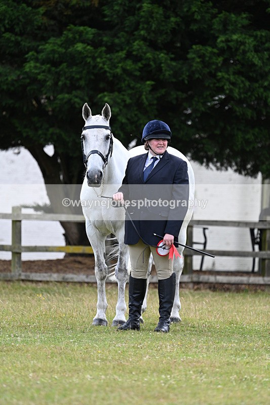 WJ7_7166 - Class 5a Most Handsome Gelding in Hand