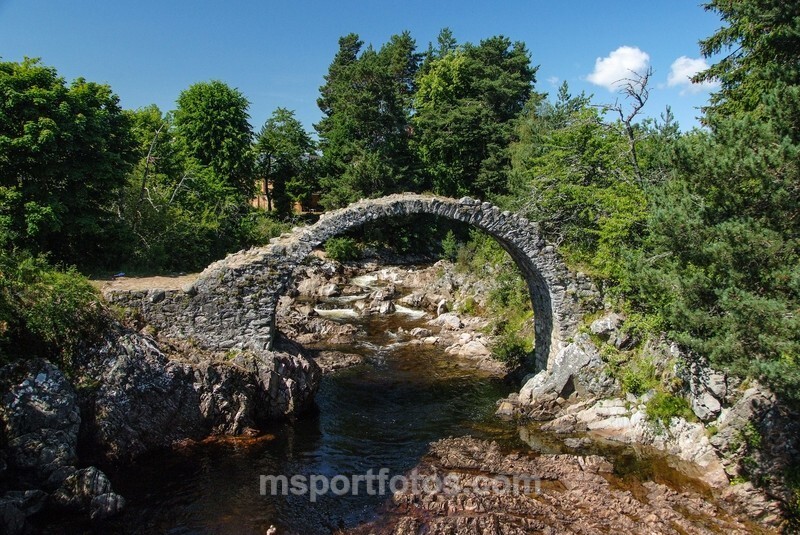 Carrbridge - Travel, city/land scapes
