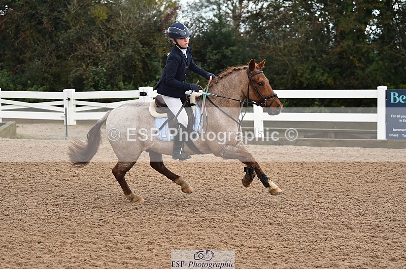 231029A-110744-02558 - Pony British Novice & 80cm Open