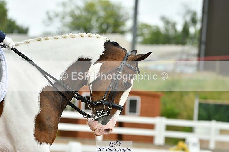 230701A-121254-05672 - Cls 7 Elementary 45