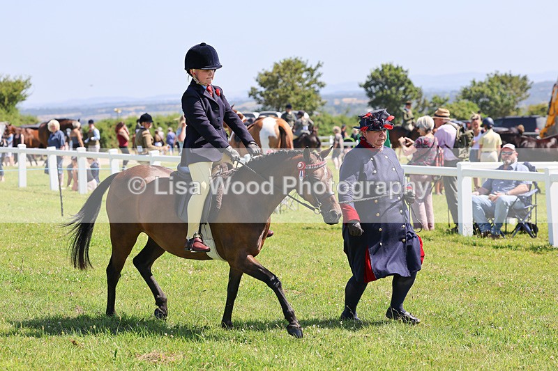 IMG_2174 - Class 36: Part Bred Ridden M & M