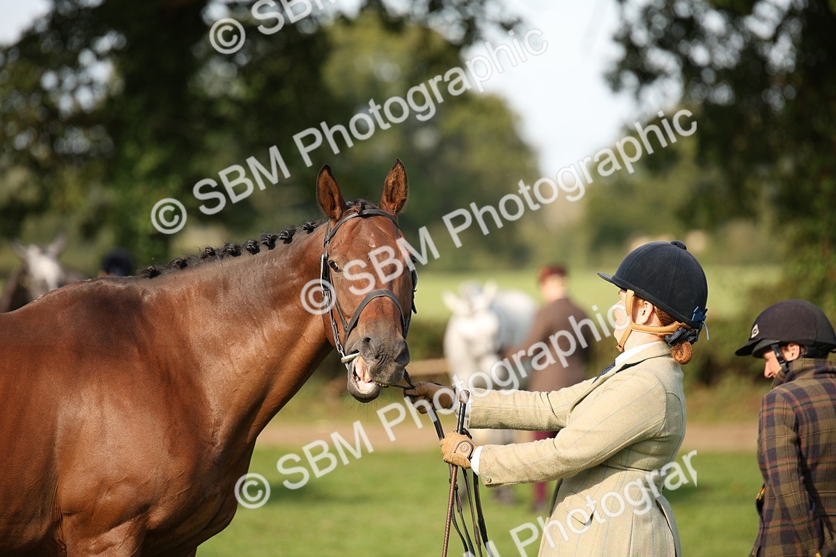 SBM_60102 - S53 - Hunter In Hand