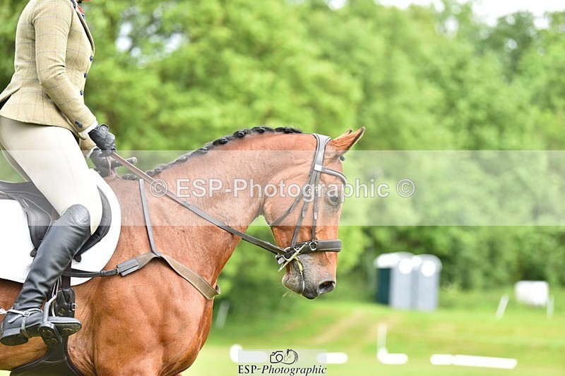 240523B-101806-01747 - 4 Year Old