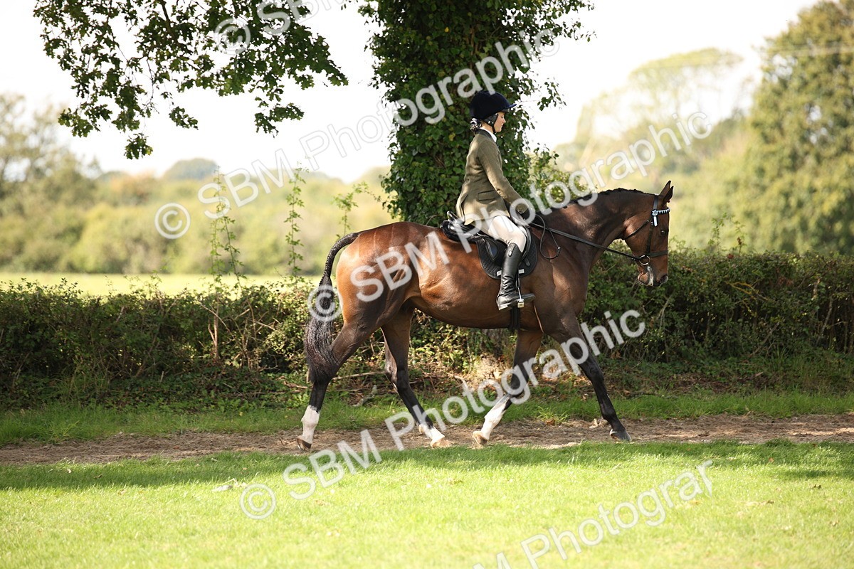 SBM_65915 - S64 - Riding Horse & Hack & Thoroughbred Ridden