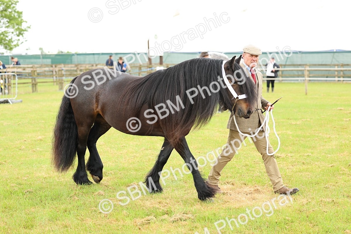 SBM_00518 - Class 58-67 - M&M Non Welsh Pony In hand