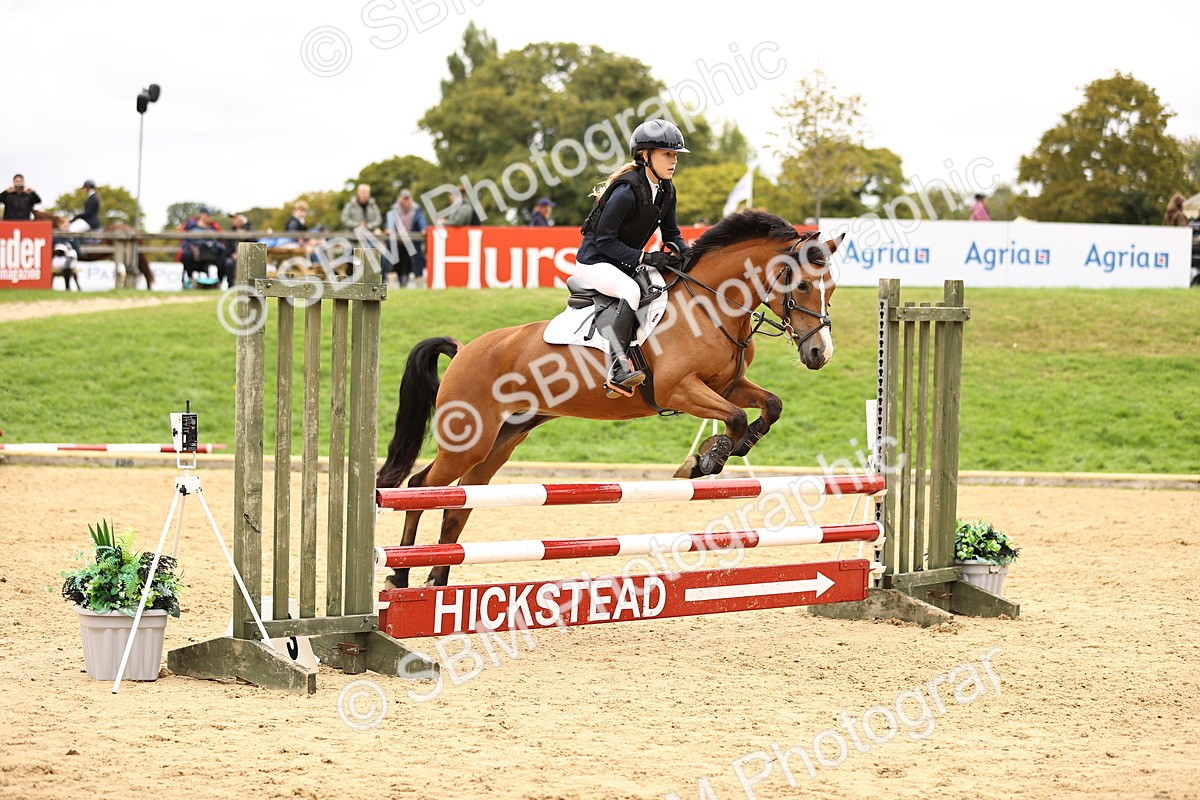 SBM_65642 - J17 - Junior Pony 80cm Championship