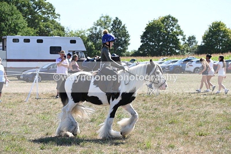 WJ6_8946 - Class 38 Ridden Riding Horse/Pony