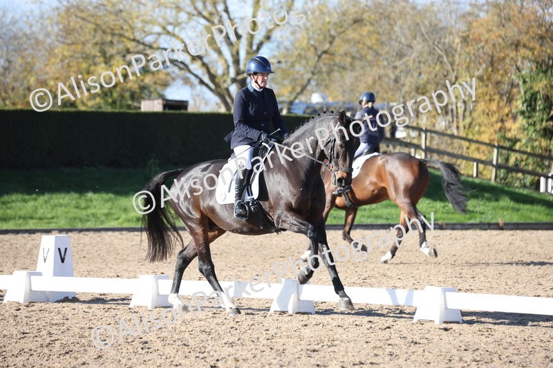 20251102-0982 - Class 5 - Elementary 5