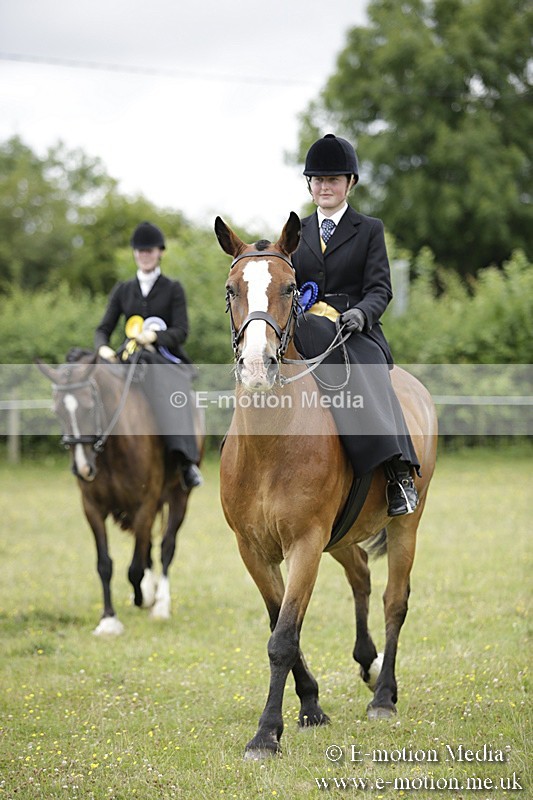 BVR160717-2017 - Side Saddle Classes 16/07/17