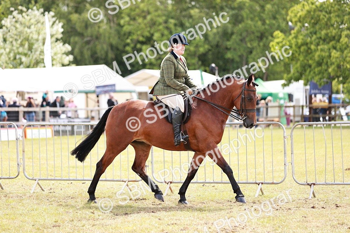 SBM_14512 - Class 88-89 - LIHS BSHA Rising Star of Ridden Hunter Type