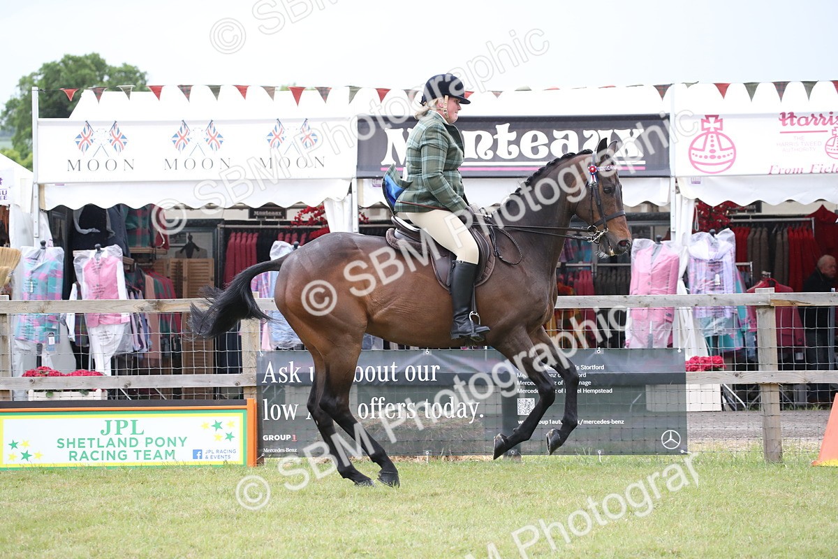 SBM_11423 - Class 94 - LIHS BSHA Racehorse to Showhorse