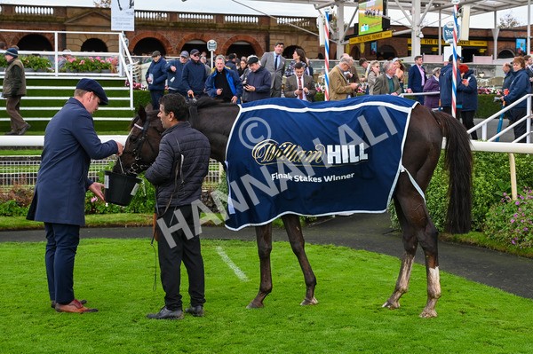 131023-Race 2-Lordship-7709 - Race 2 2.40pm William Hill Finale Handicap