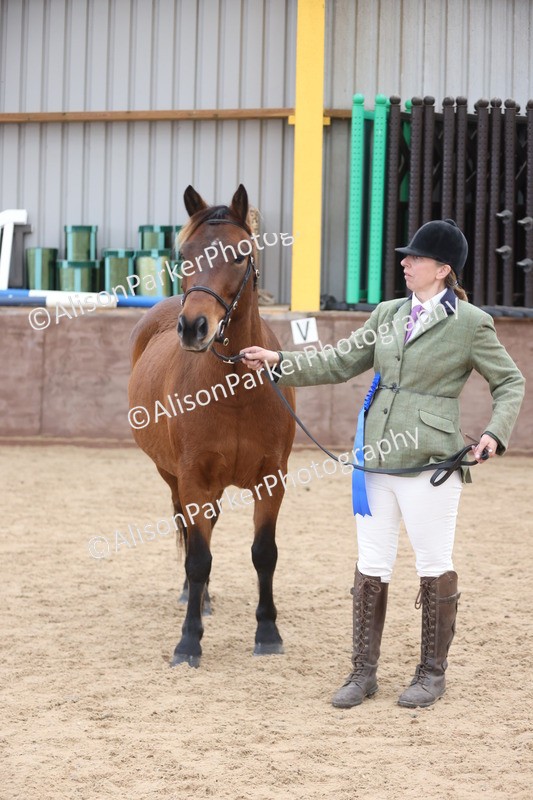 20251109-1101 - Class 29 - Geldings 4 Years and over