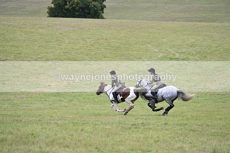 WJ7_4239 - Camera 1 Line 2